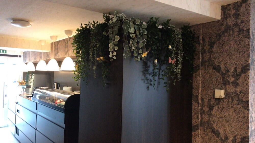 Kokoro Sushi & Bento interior with hanging greenery and display counter